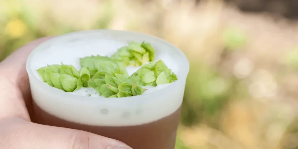 a craft beer with fresh hops on top