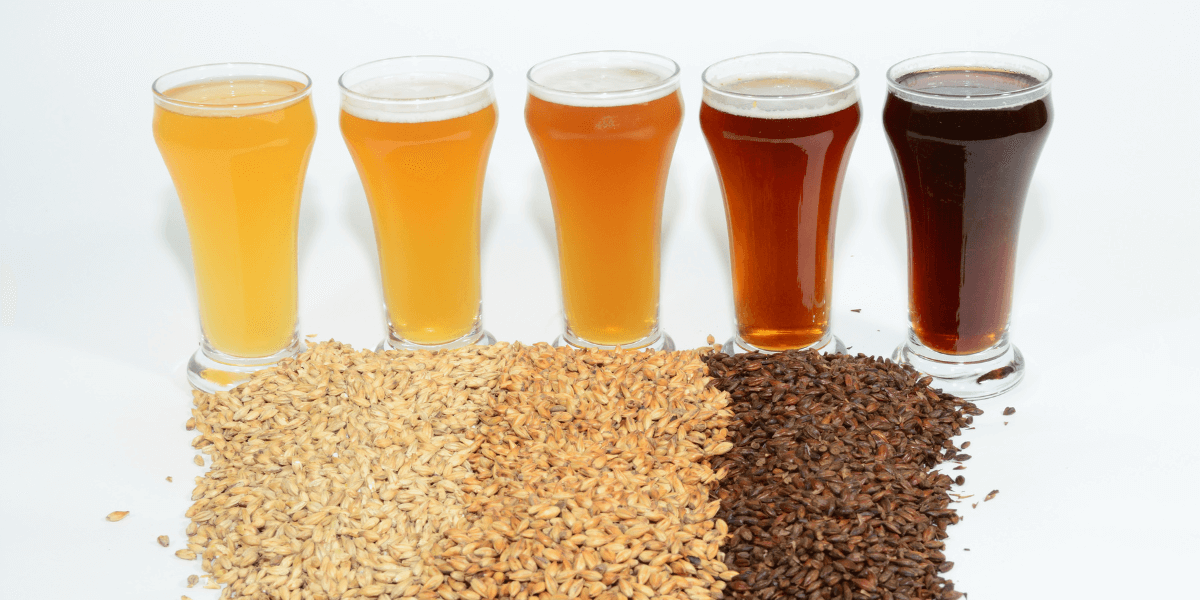 different colored beer using different grains