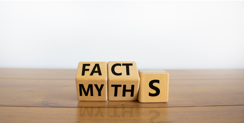Wooden blocks that flip to turn the words Myths into Facts