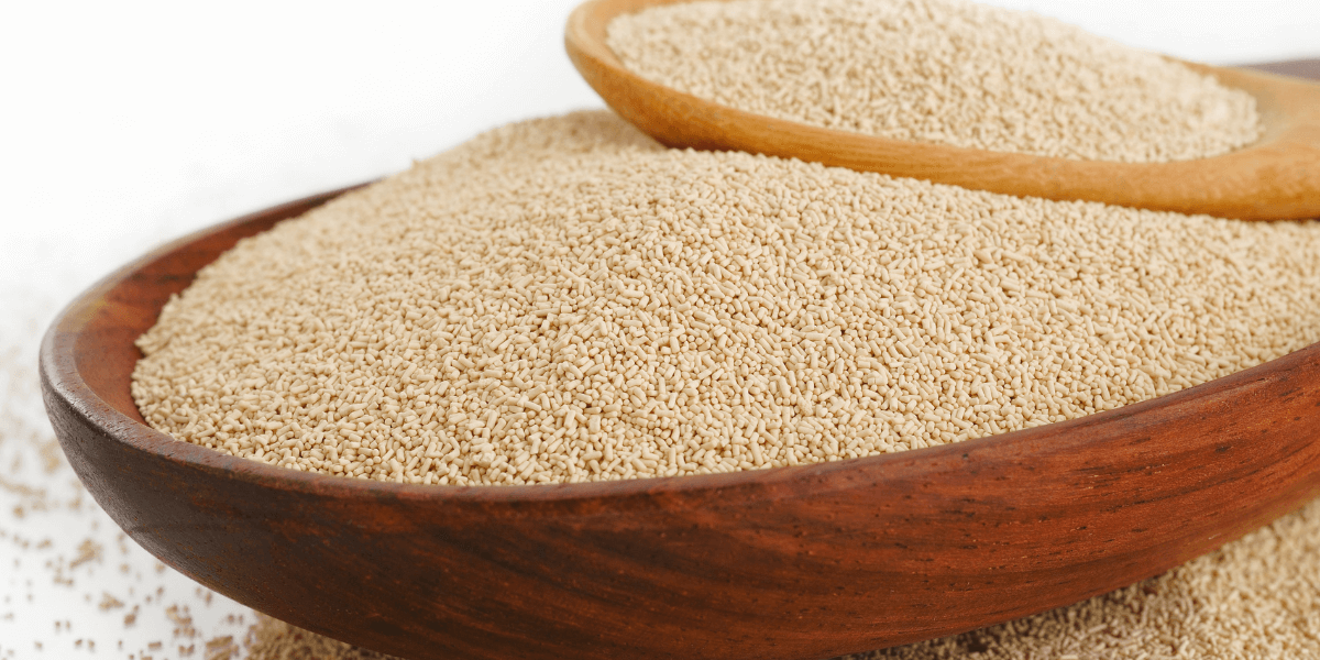 yeast in a wooden bowl and a wooden spoon on top